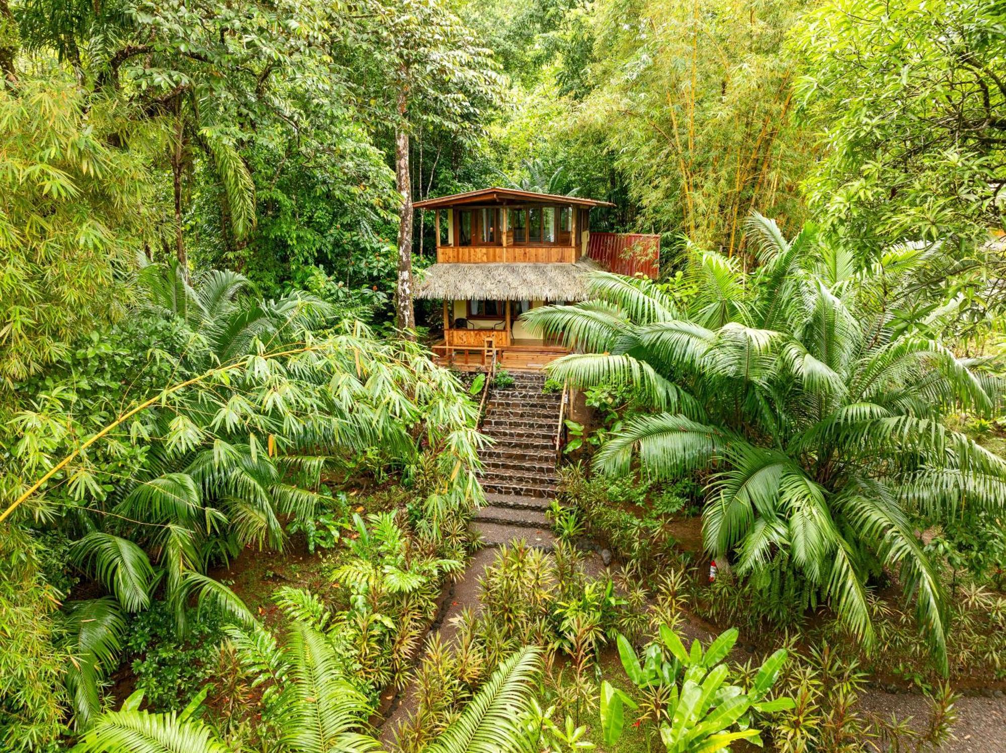 Copa De Arbol Beach & Rainforest Resort Drakes Bay Exteriör bild