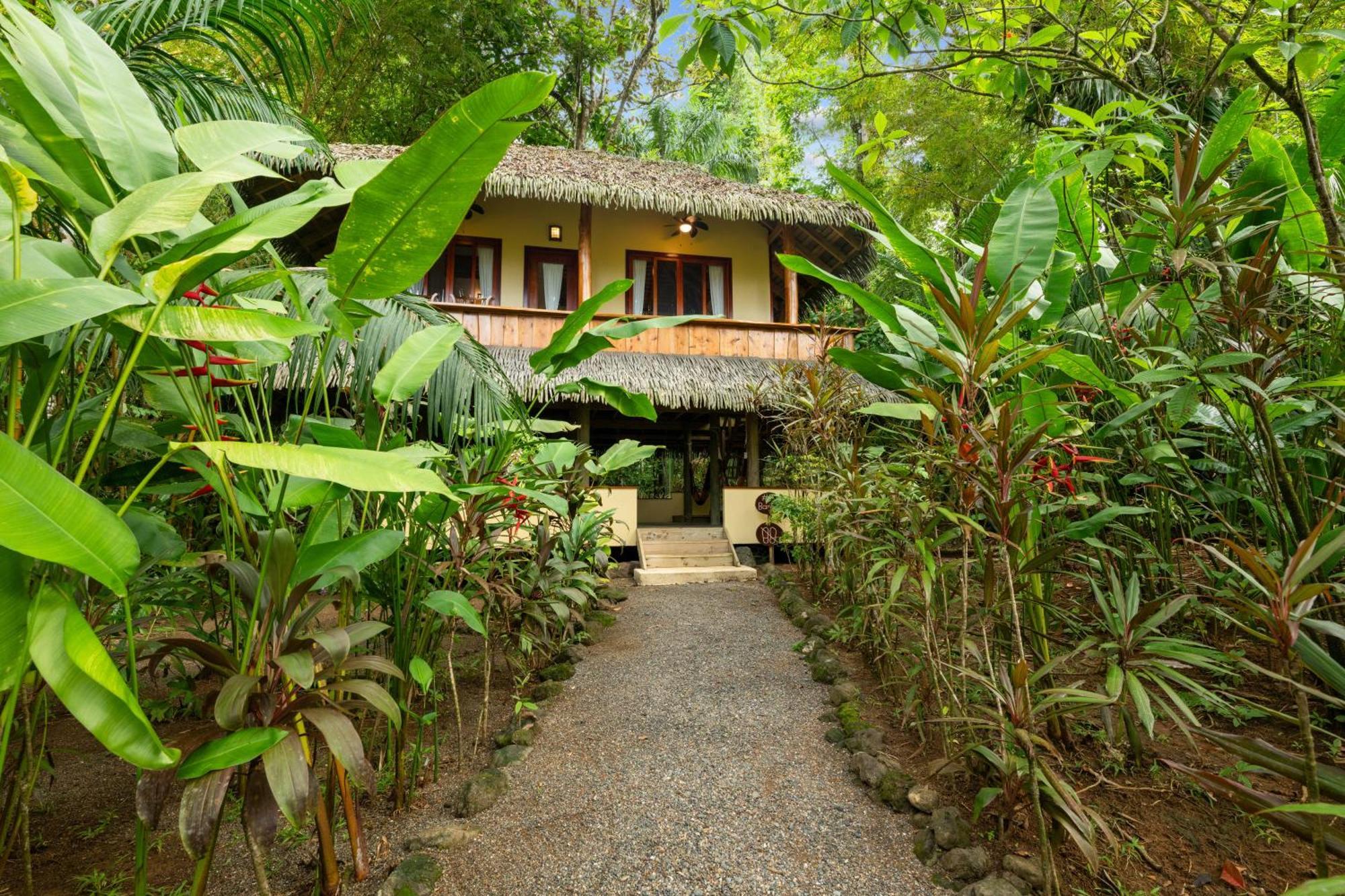 Copa De Arbol Beach & Rainforest Resort Drakes Bay Rum bild