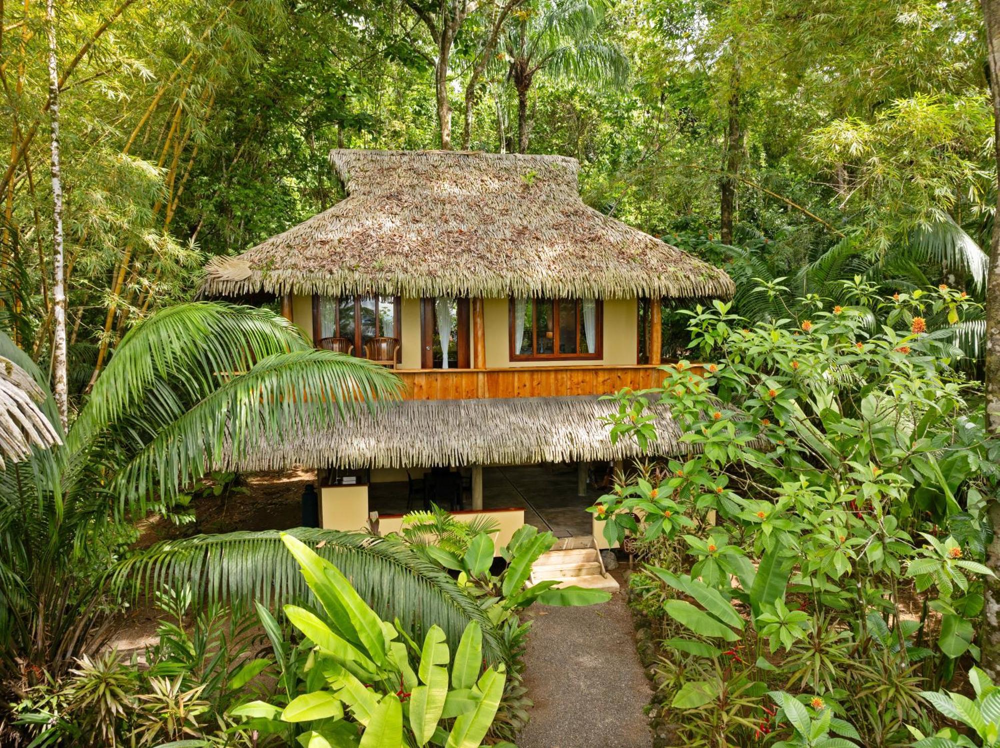 Copa De Arbol Beach & Rainforest Resort Drakes Bay Rum bild