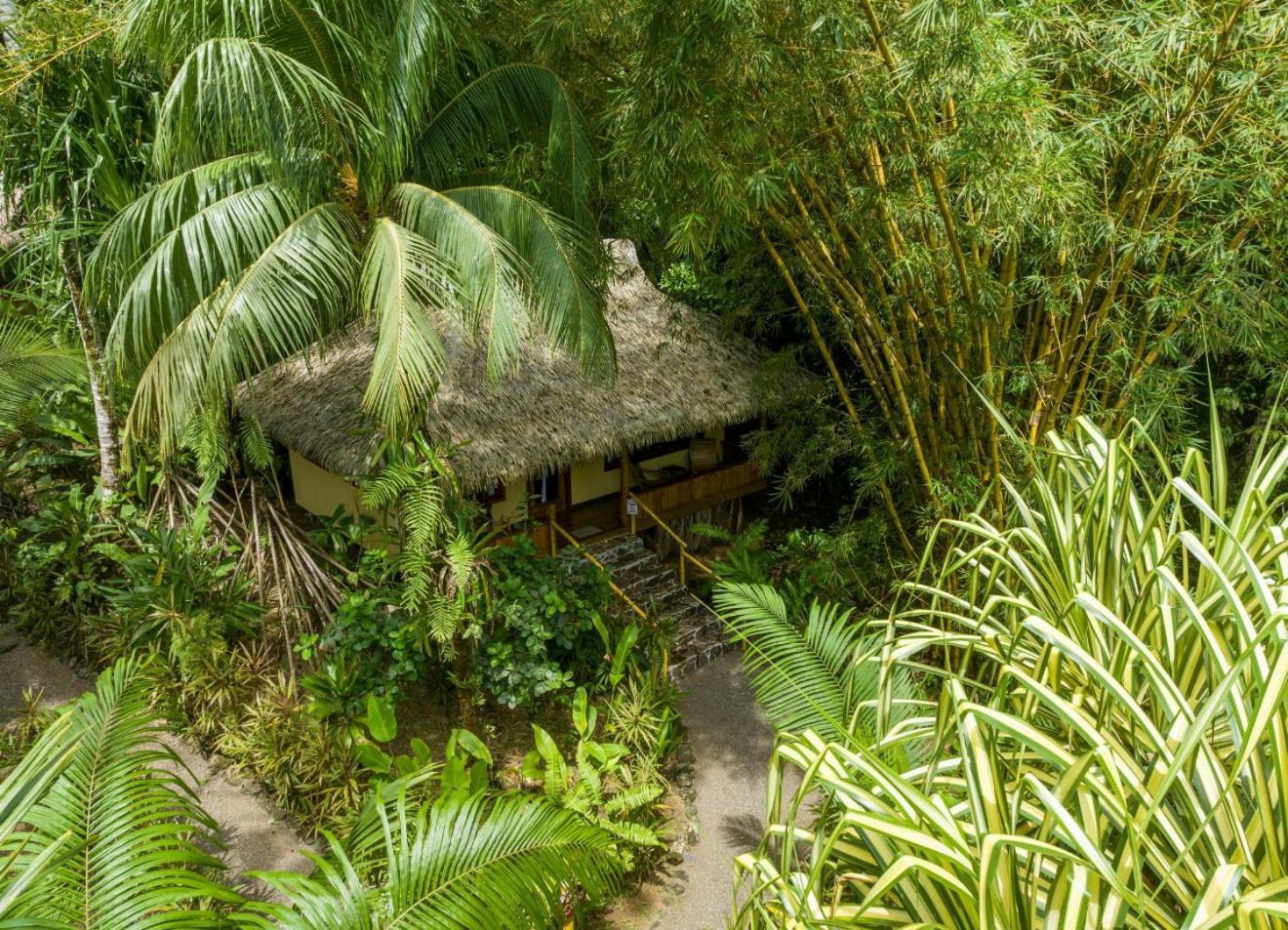Copa De Arbol Beach & Rainforest Resort Drakes Bay Rum bild
