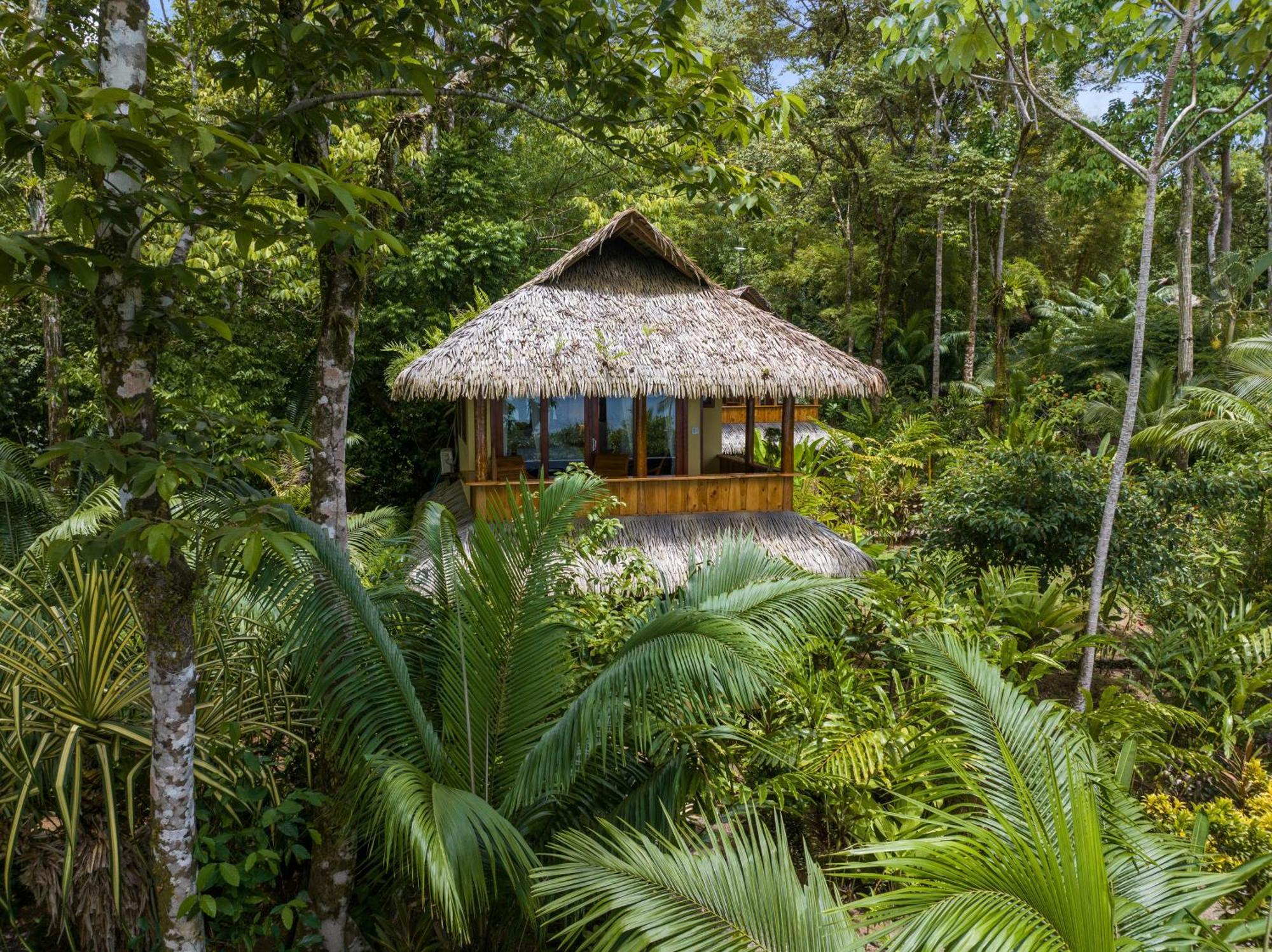 Copa De Arbol Beach & Rainforest Resort Drakes Bay Rum bild