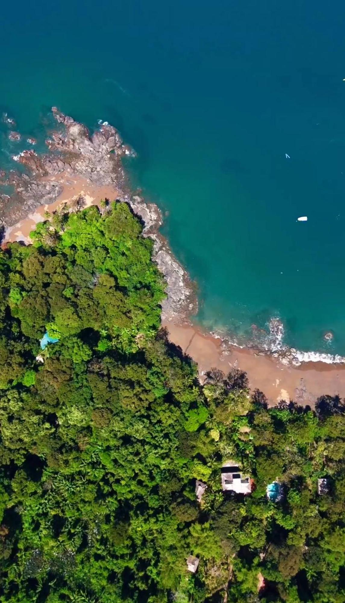 Copa De Arbol Beach & Rainforest Resort Drakes Bay Exteriör bild